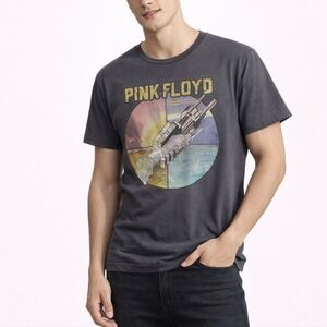 Pink Floyd Graphic Men's Gray Shirt